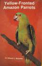 Yellow Fronted Amazon Parrots