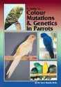 A Guide To Colour Mutations & Genetics In Parrots