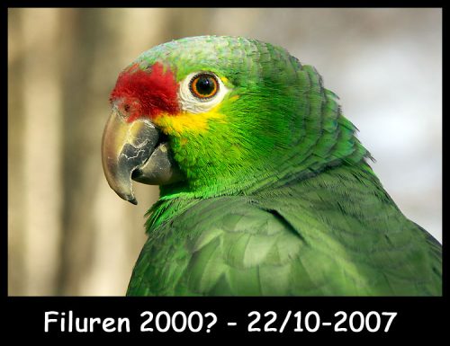 Flytt_Död